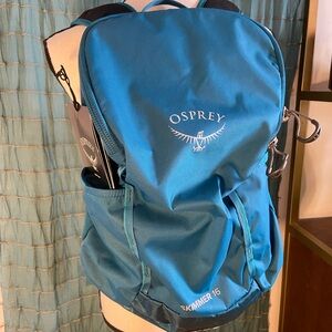 Osprey Blue Backpack